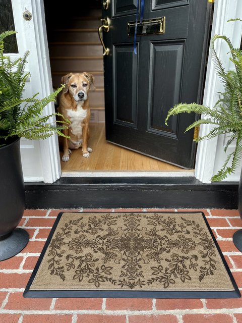 Morris Pure Dove Rose Dark Wood Washable Doormat Ruggable