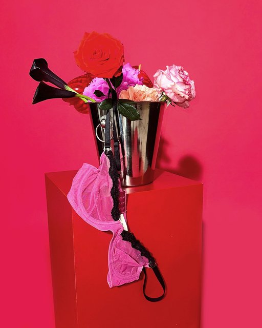 Sheer Tulle Demi Bra