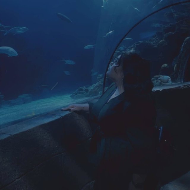 #throwback to a wonderful and fun day earlier this week💙🪼

#thatkindofday#aquarium#seahorse#röhrenaal#fun#animals#littleanimals#sealife#hannover#animalcrossingnewhorizons#animalcrossing#nintendo#friendsandfamily#ootd#potd