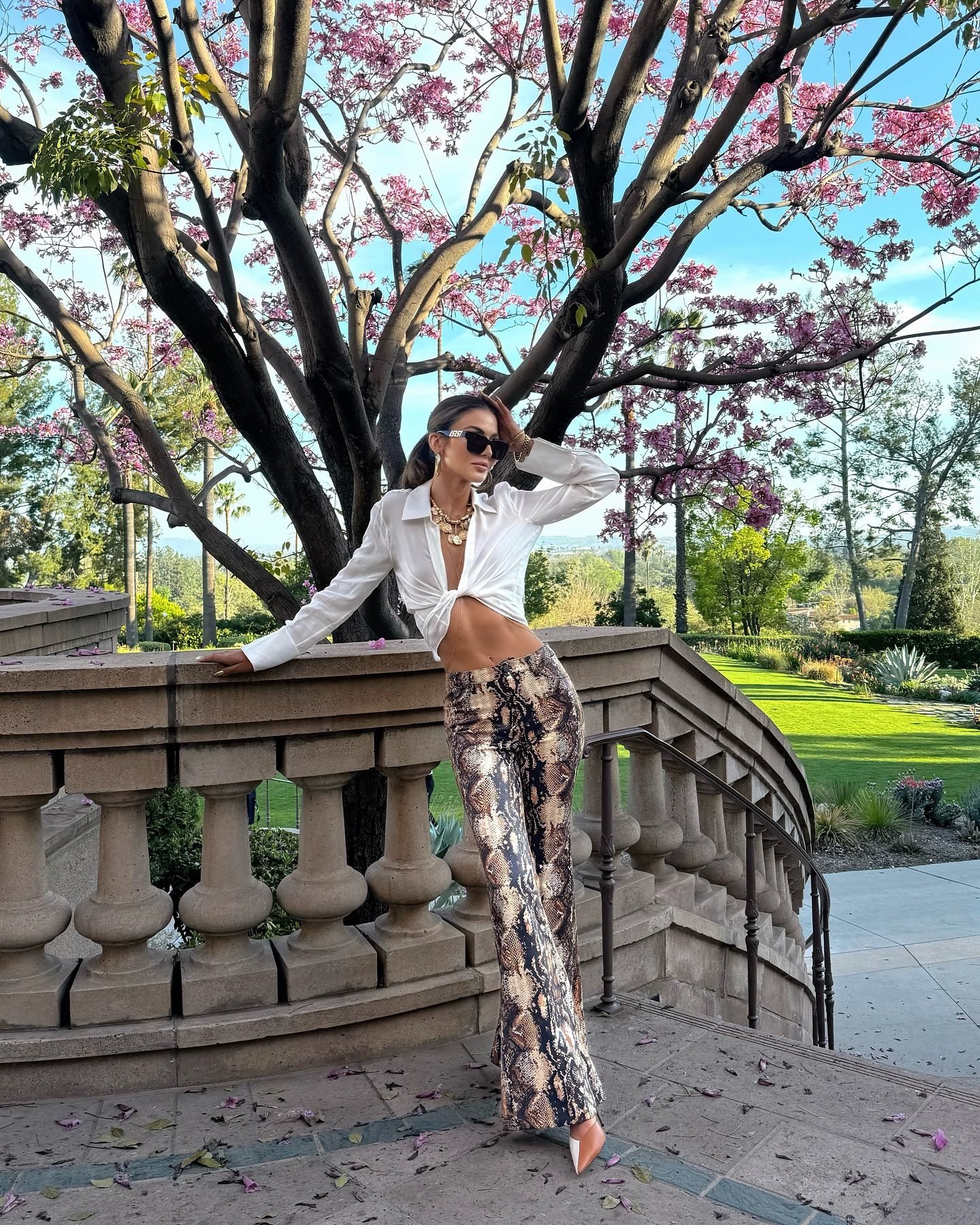 Cristena Vegan Snake Pant In Camel/black Snake | Alice + Olivia