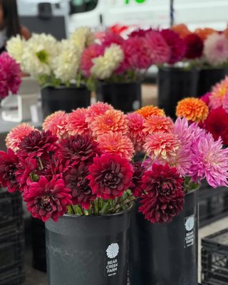 Mother's Day Flower markets on today! 

🌸 Spoil Mum (and keep the kids entertained) this Mother’s Day at our Flower & Chocolate Market at Romeo’s IGA, South Eveleigh! 🌸

Plus, enjoy a range of workshops and entertainment for both adults and kids on both weekends, including:
🎶 Performances from The Vegetable Plot
🌱 Seedling planting fun
🎨 Free face painting
🌿 Organic Skincare Workshops just for Mum
🖼️ Photo frame decorating

📍 Flower Markets: Out the front of Romeo’s IGA
🗓 Sat 3 & Sun 4 May + Sat 10 & Sun 11 May | From 7AM

Click the link in our bio for more details 🌼 

#SouthEveleigh #MothersDay