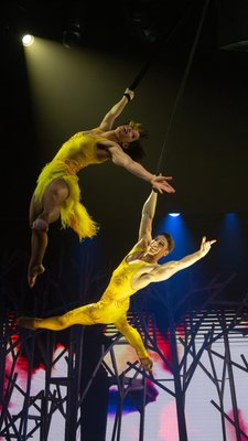 Behind every showstopping performance is a world of creativity in motion—where costume designs, rehearsals, and every intricate detail come to life. @creativestudiosbynclh is where at-sea entertainment is reimagined. 🎭 #CruiseNorwegian