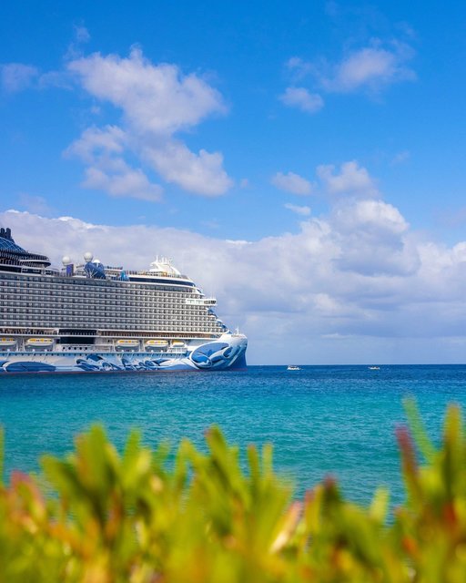 Peek-a-boo 👀 #CruiseNorwegian