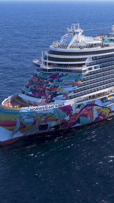 You should be spending your time seeing the world, not packing and unpacking your luggage 🧳🌎🚢 #CruiseNorwegian