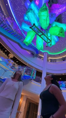 Beautiful, isn't it? ✨ #CruiseNorwegian