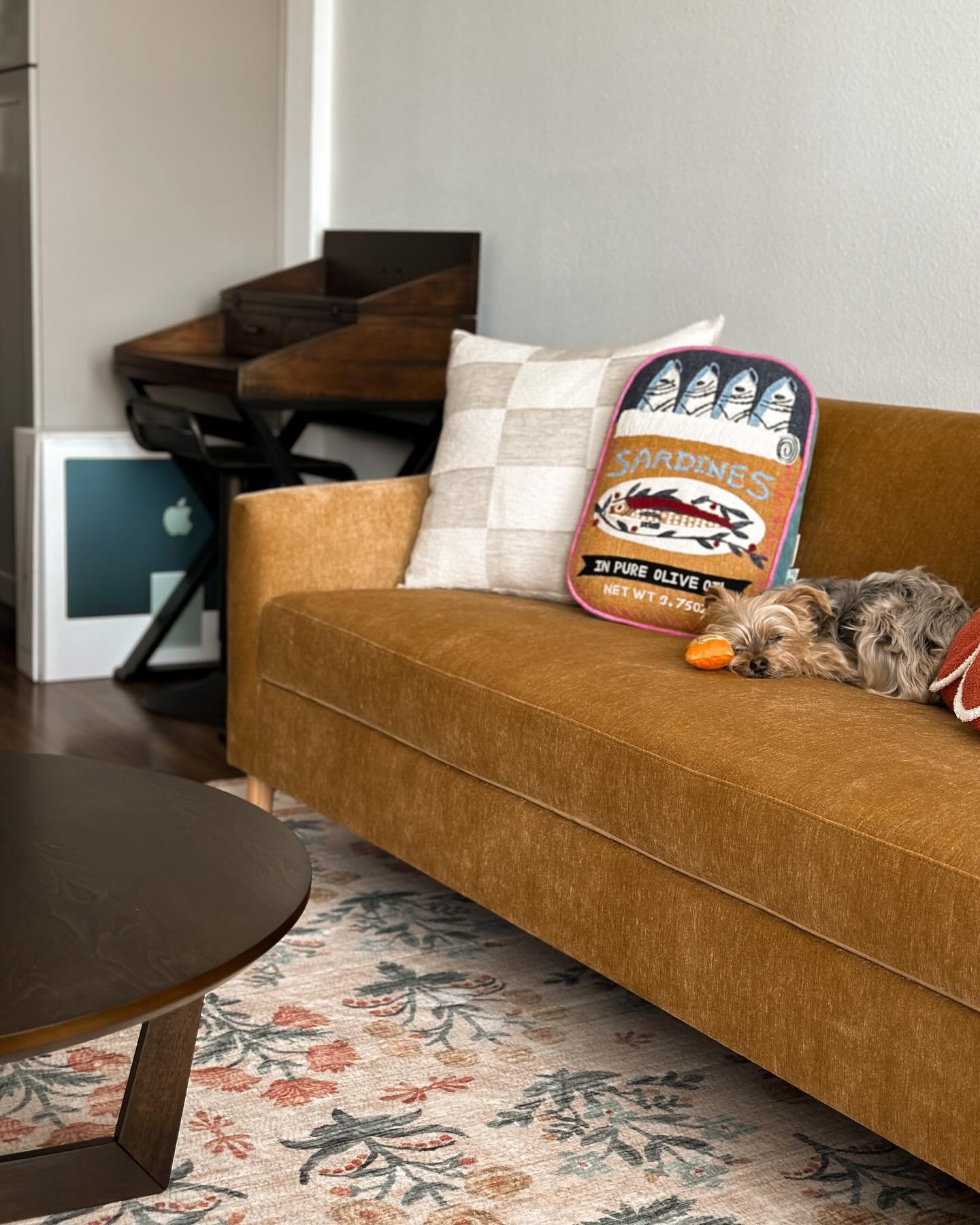 Halifax Round Dark Walnut X Base Coffee Table - World Market