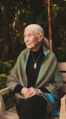 91 years of Jane, 1 unforgettable year of partnership, and a lifetime of impact. 💚

In just one year, we’ve explored Tanzania, created a trailblazing collection using Planet-First carbon capture Diamonds, and celebrated milestones that will resonate for generations – and this is just the beginning.

Happy 91st birthday to the legendary Dr. Jane Goodall. Your dedication to our planet and your ability to inspire change is a gift to us all. Here’s to the legacy, the mission, and the journey ahead.