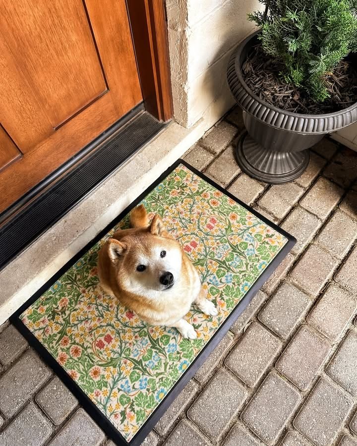 Morris & Co. Blackthorn Multicolour Doormat | Ruggable UK