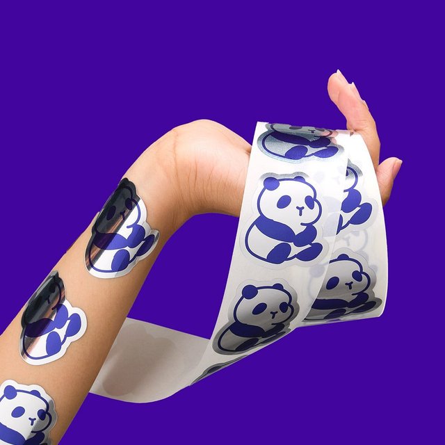 Pandas, pigs, lions and snakes, oh my! Which is your favorite?