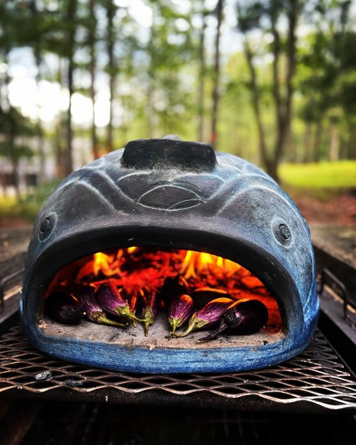 Blue Terracotta Fish Pizza Oven World Market