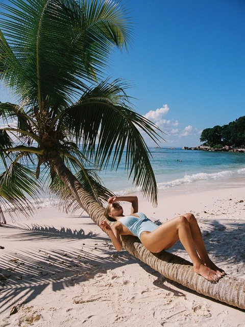 swimwear designed for sunlit escapes and salt-kissed skin 🐚🌴✨