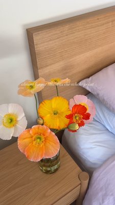 working full time to pay a mortgage < enjoying said mortgage. 

#house #firsthome #gardening #poppies #bedroom #calmspace #firsthomebuyer