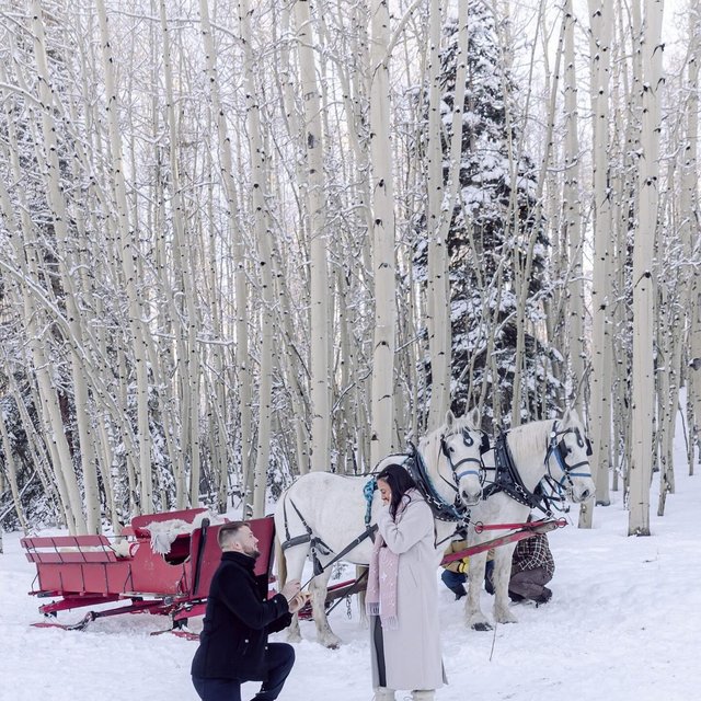 A snowy fairytale proposal ❄️ Congrats to @daniela.\_\_carrero and @middleton.joee on your engagement. The details: 18K Yellow Gold Luxe Petite Twisted Vine Three Stone Lab Diamond Ring set with a Radiant Diamond 📷: @abielivesayphotography
