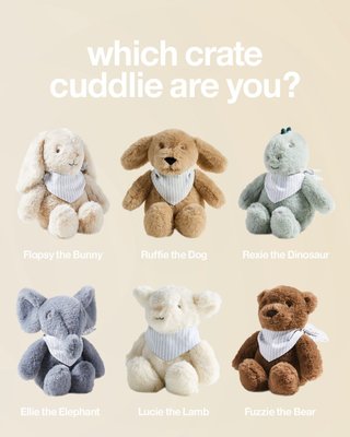 Crate Cuddlies Small Dog Kids Stuffed Animal - image 5 of 9