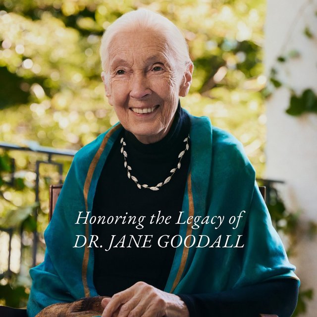 Honoring the legacy of Dr. Jane Goodall. On what would have been her 92nd birthday, we are donating 100% of net proceeds today from the Jane Goodall Collection to the Jane Goodall Legacy Foundation Fund. Each limited-edition piece is crafted with repurposed gold and lab diamonds grown from carbon captured before its released into the atmosphere. The Jane Goodall Collection is more than jewelry. It’s proof that true legacy isn’t measured by the past, but by the future we help create. Link in bio to shop the collection. \*Valid from 12am PST - 11:59pm PST on Friday, 4/3