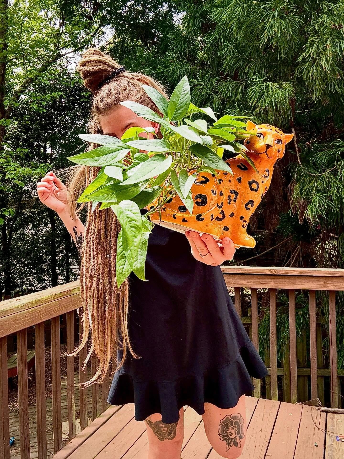 Orange Ceramic Cheetah Hand Painted Figural Planter - World Market
