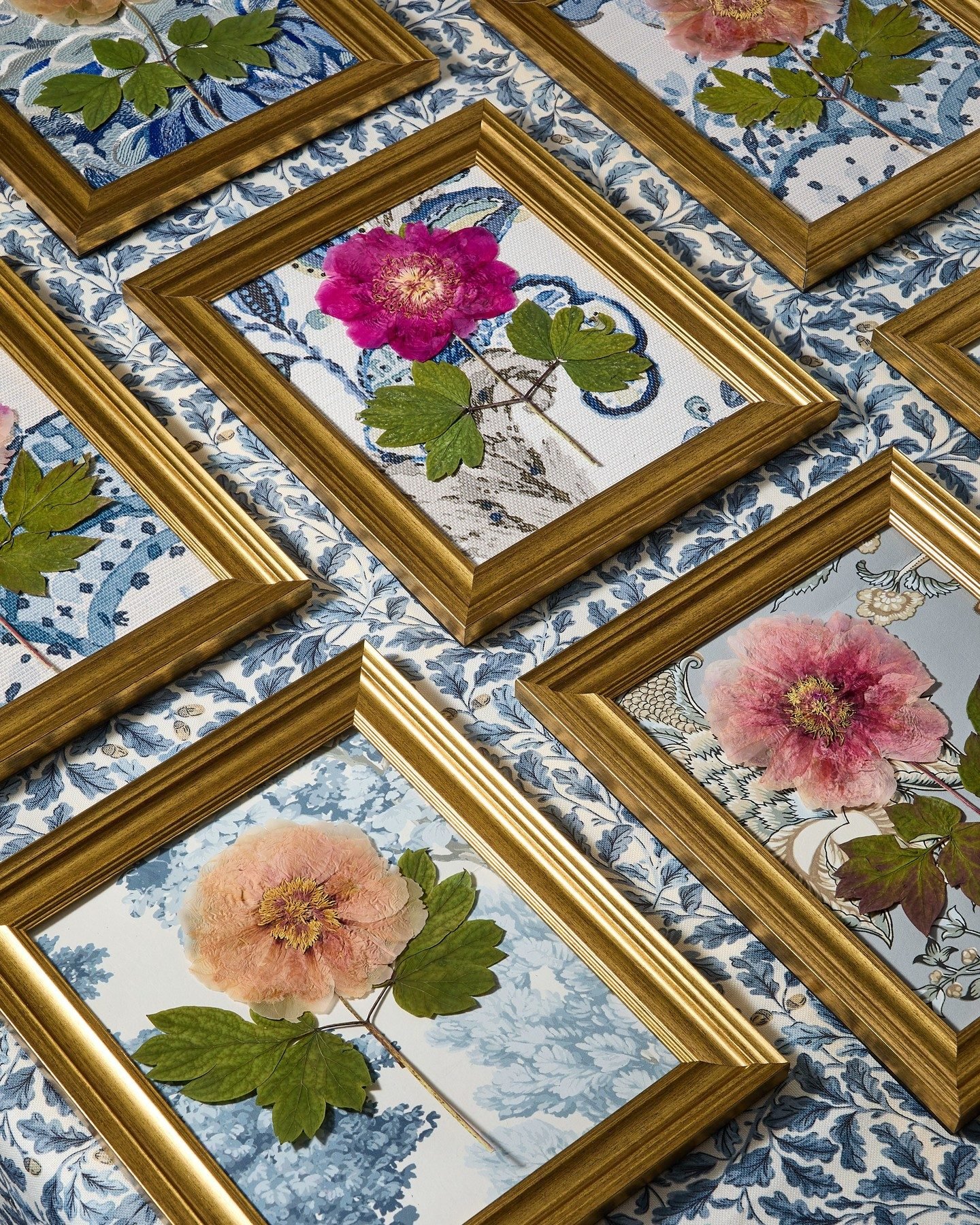 Kelmescott Wallcovering Peacock On Sand Wallcovering | Scalamandre