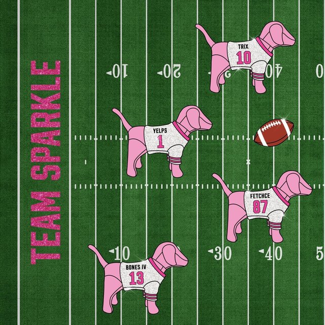 The big game is so close we can almost taste the buffalo chicken dip. Are you Team Sparkle or Team Spots?š