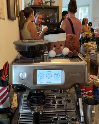 Play Breville ® Barista Touch ™ Espresso Machine in Brushed Stainless Steel - video 0 of 3